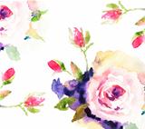 Roses, watercolor illustration 