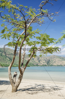 areia branca beach near dili east timor