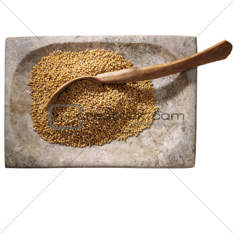mustard seed 