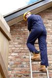 A workman up a ladder