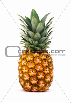 Pineapple isolated 