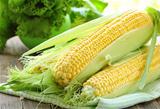 fresh corn vegetable   on wooden table