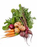 Arrangement of Raw Organic Vegetables