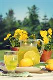 Fresh lemonade on a summer day