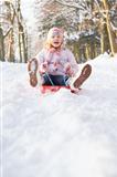 Girl Sledging Through Snowy Woodland