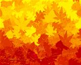 Distressed autumn leaves wallpaper