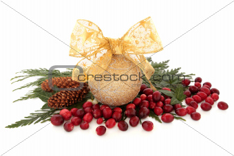 Sparkling Bauble and Cranberries