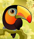 Toucan on the  branch