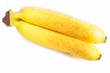 Mature Bananas