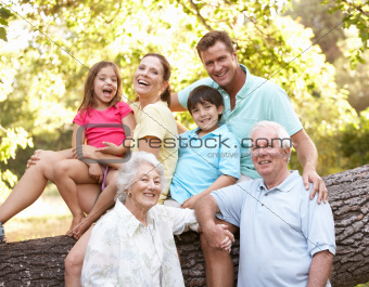 Portrait Of Extended Family Group In Park