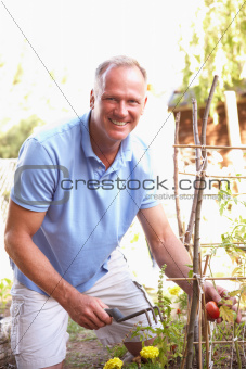 Man Relaxing In Garden