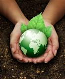 human hands holding green earth