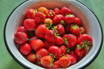 Fresh strawberries in round metal bowl