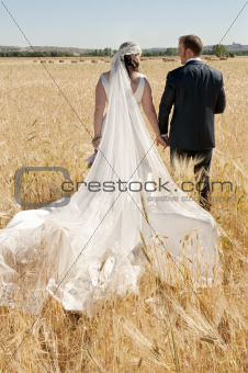 wedding couple in the field
