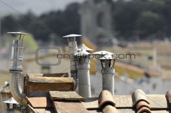 Chimney and boiler vent