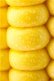 Grains of Ripe Corn / Extreme Macro / Yellow background