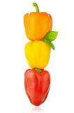 Colored Peppers / Paprika / Isolated on a white background