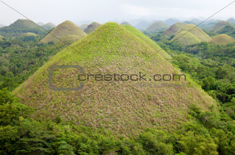 Chocolate Hills in Bohol