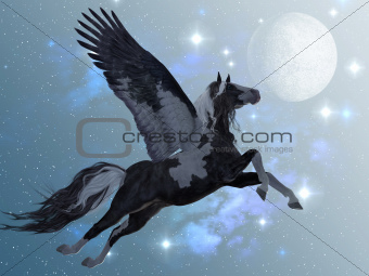 Pegasus 03