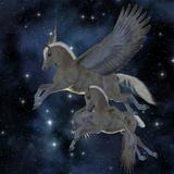Pegasus 04