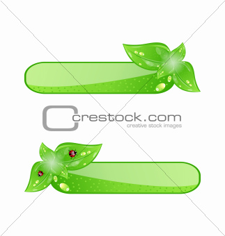 Eco friendly icons with green leaves