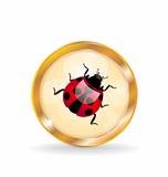 Golden circle label (button) with ladybug