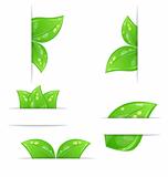 Set of green ecological labels with leaves isolated on white bac