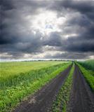 rural road in green field under cloudy sky