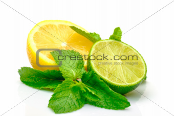 Fresh Lemon, Lime and Mint