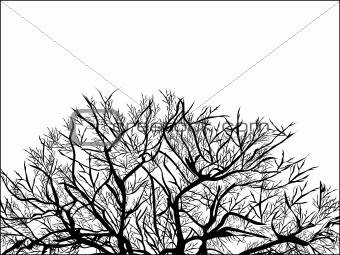 Abstract vector of black tree on white background 