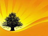 Abstract vector of tree on sunset background 