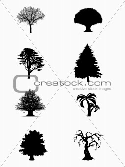 wallpaper of black trees on white background 