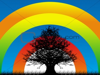 wallpaper of rainbow and tree background