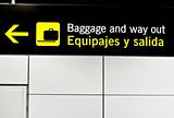 Baggage panel
