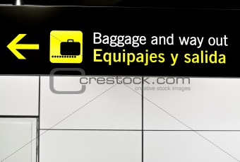 Baggage panel