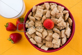 Wheat Squares and Strawberries for Breakfast