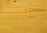 Fir wood texture