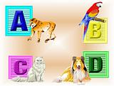 Animals ABCD
