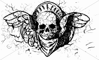 Ornamental background skull illustration