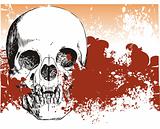 Bloody skull illustration