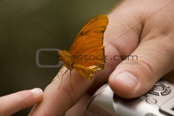 Butterfly Hand Camera