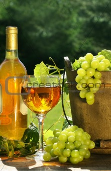 White wine with bottle and grapes