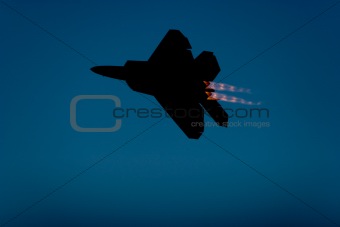 Fighter Jet Silhouette