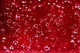 rain drops on red glass