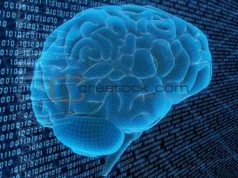 digital brain