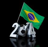 brazil football 2014 