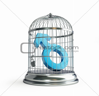 cage for birds man