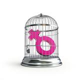 cage for birds women