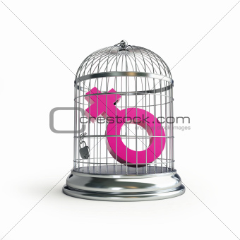 cage for birds women