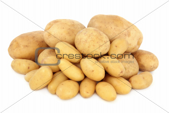 Potato Selection